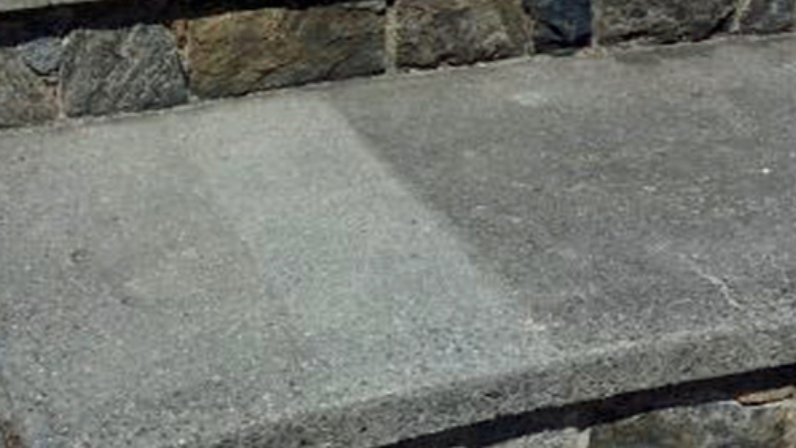 Autolimpiante-pureti-argentina